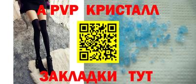 молекула духа Кингисепп
