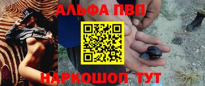 молекула духа Кингисепп