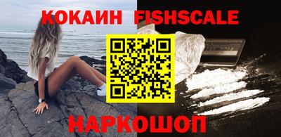 молекула духа Кингисепп