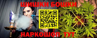 молекула духа Кингисепп