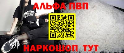 молекула духа Кингисепп