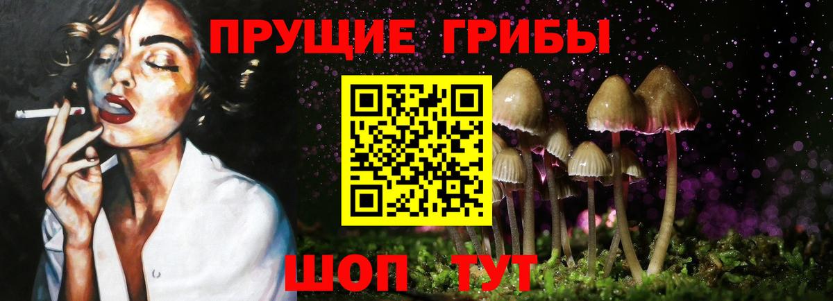 Псилоцибиновые грибы Cubensis Когалым
